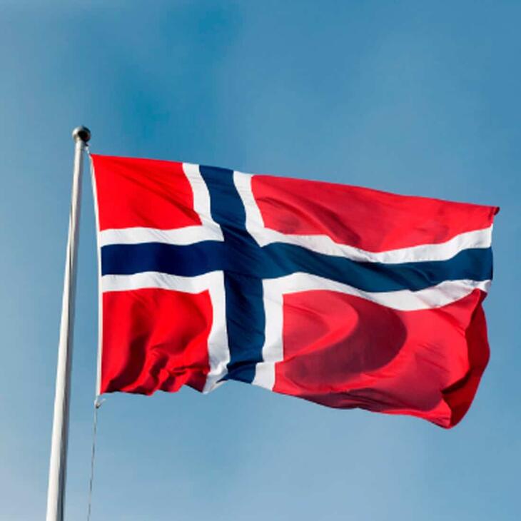 det norske flagget